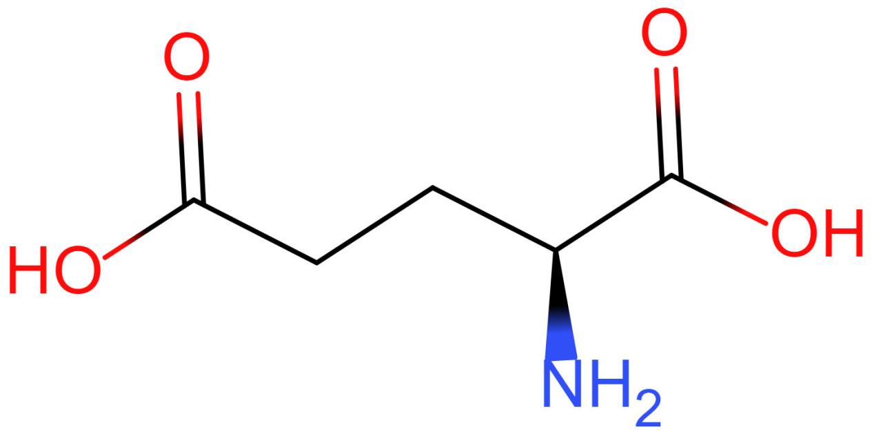 l glutamic acid powder